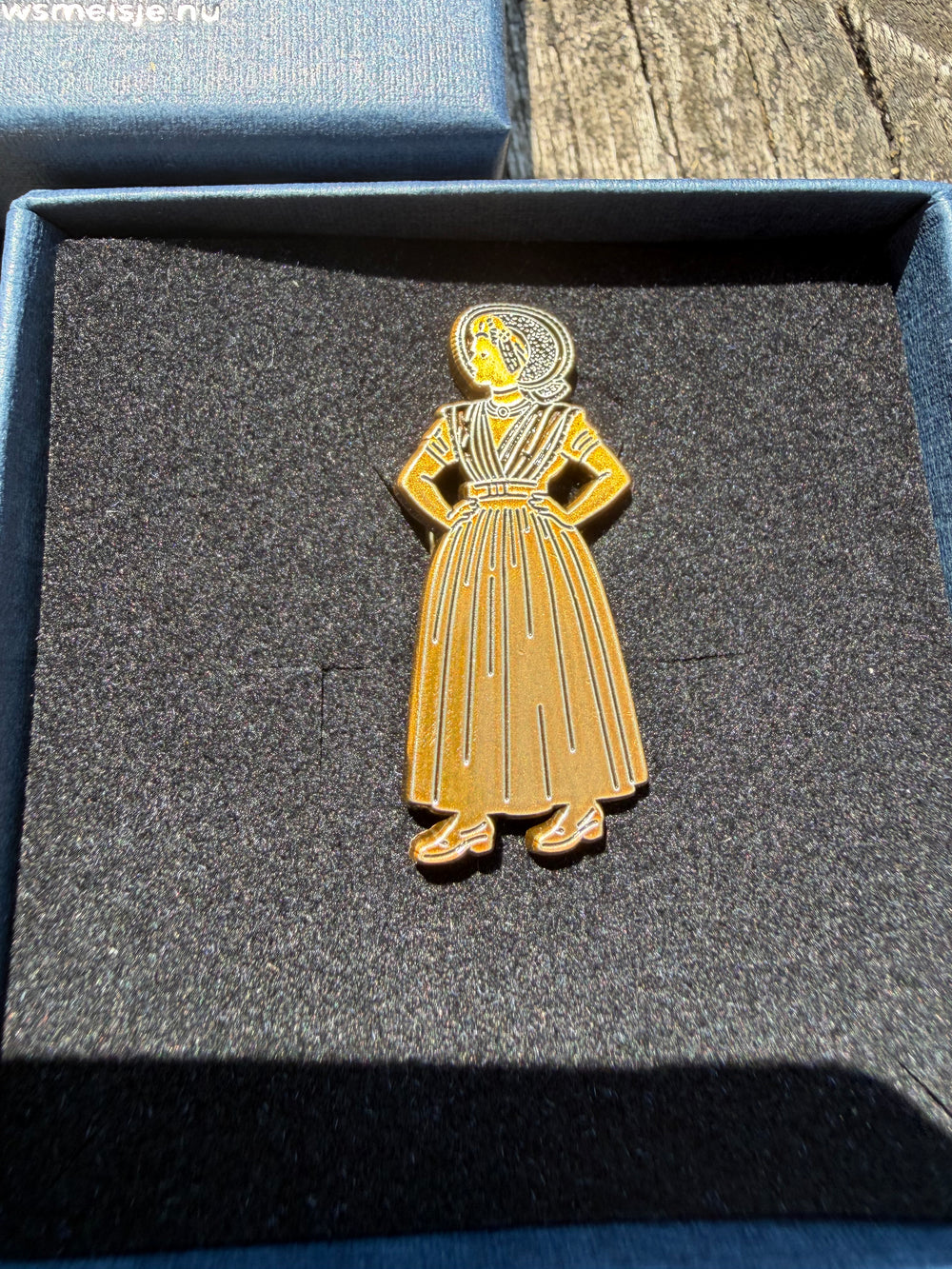 Arnemuiden detail broche 