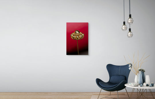 wall art rem van den Bosch Zeeuwse knoop tegen rood 