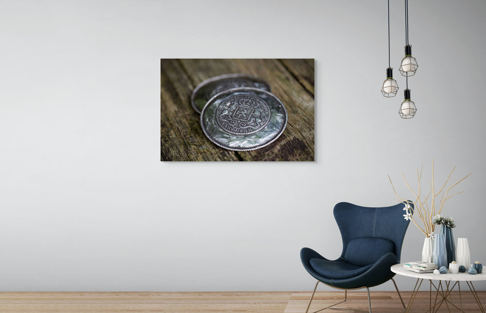 klassieke Zeeuwse broekstukken, fotografie Rem van Den Bosch, leeuw, muurdecoratie 